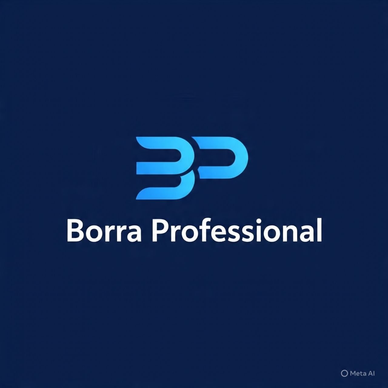 Borra Corporation